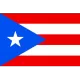 Logo Puerto Rico W
